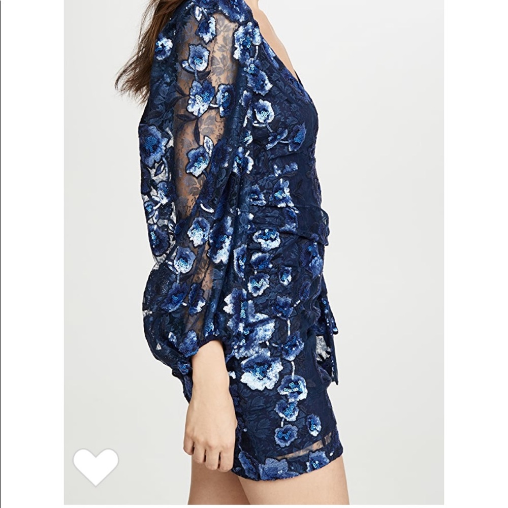 For love and Lemons Victoria Embroidered Mini Dress.